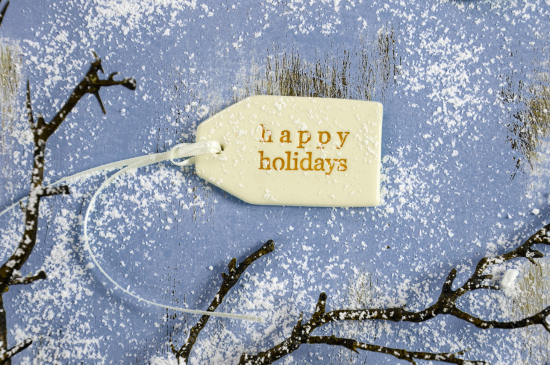 Blue background with twigs and snow; a gift tag in the middle says "happy holidays" in yellow writing