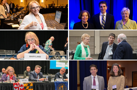 Collage of six photos of two insurance regulators at conferences and meetings, including panel discussions, conversations with colleagues, and posed event photos.